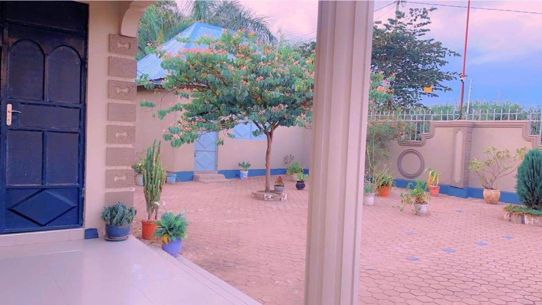 הוסטל Boma la Ngombe Evelina House מראה חיצוני תמונה
